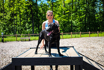 PR8 Gyms for Dogs.jpg
